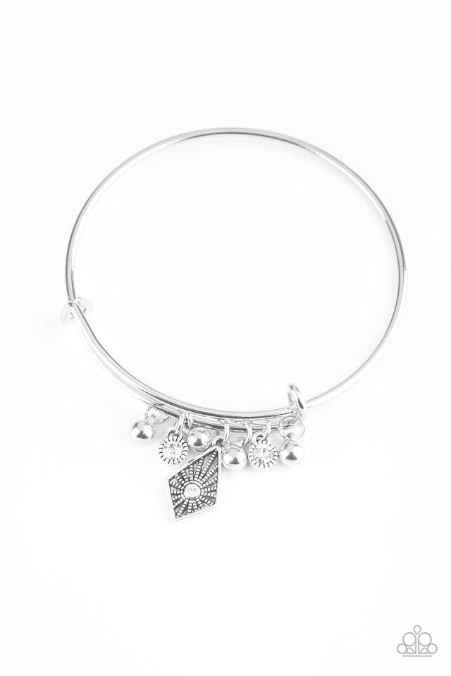 Paparazzi Treasure Charms - Pink