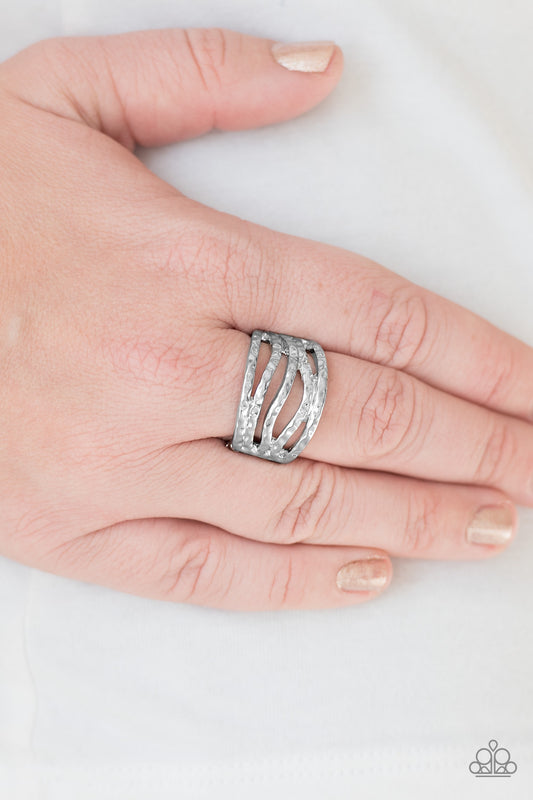 Paparazzi Rival In Radiance - Silver