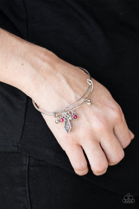 Paparazzi Treasure Charms - Pink