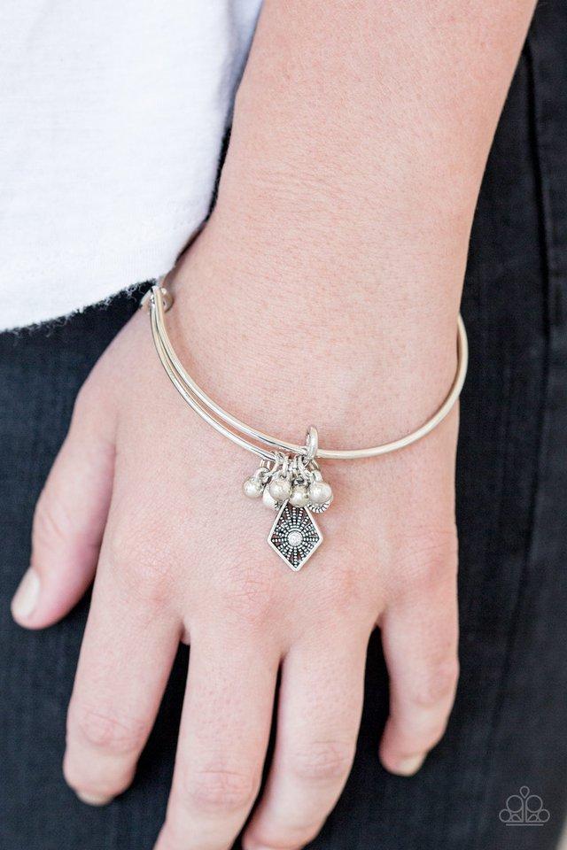 Paparazzi Treasure Charms - Pink